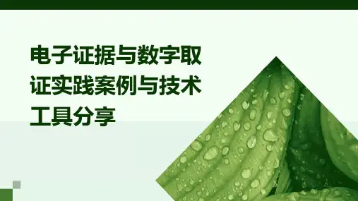 电子证据与数字取证实践案例与技术工具分享