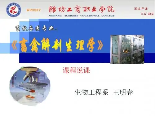 畜禽解剖生理学-课程说课 PPT课件