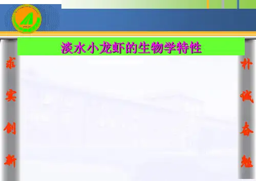 淡水小龙虾生物学特性讲座
