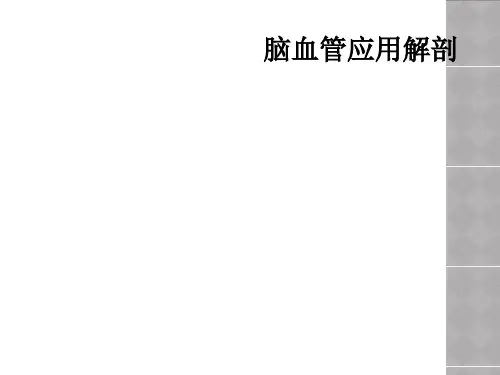 脑血管应用解剖