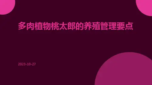 多肉植物桃太郎的养殖管理要点