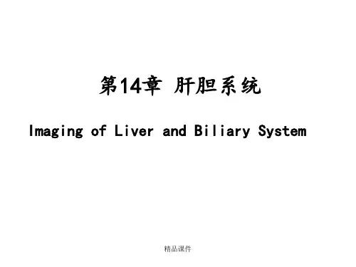 7-肝胆系统的影像诊断(1)