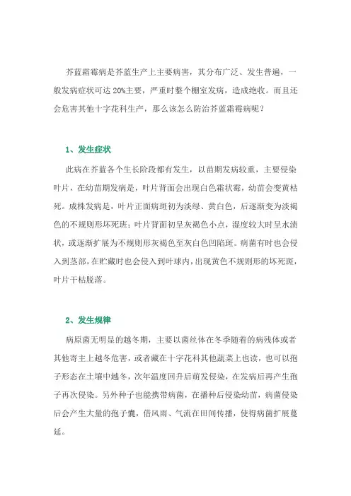 种植芥蓝霜霉病的防治措施