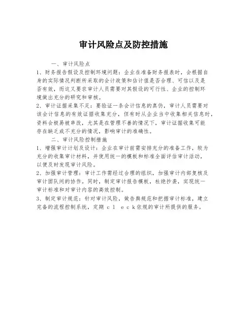 审计风险点及防控措施