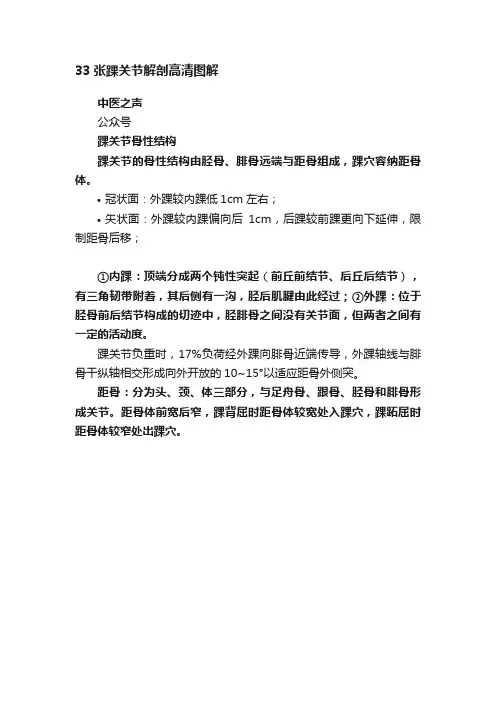 33张踝关节解剖高清图解