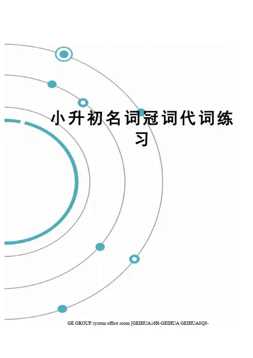 小升初名词冠词代词练习精编版