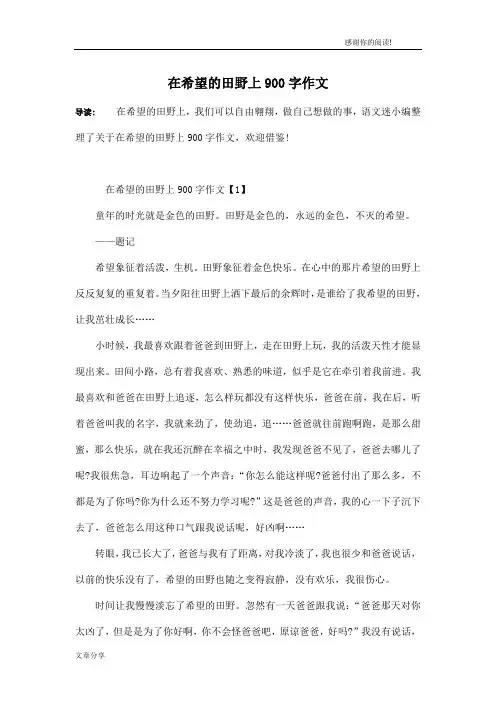 在希望的田野上900字作文