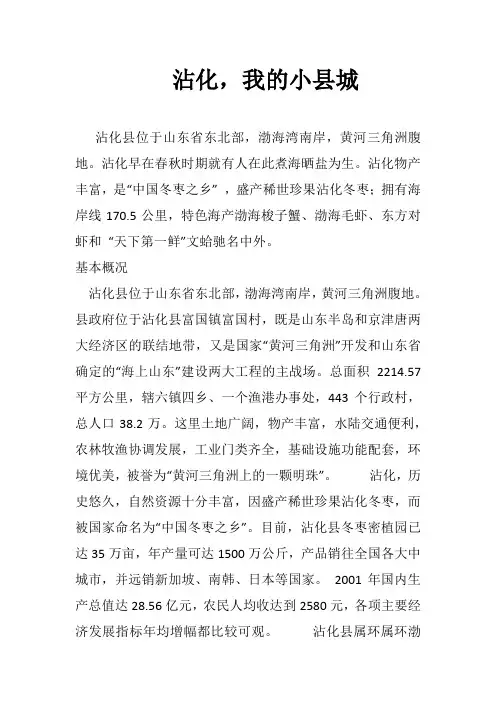 沾化简介