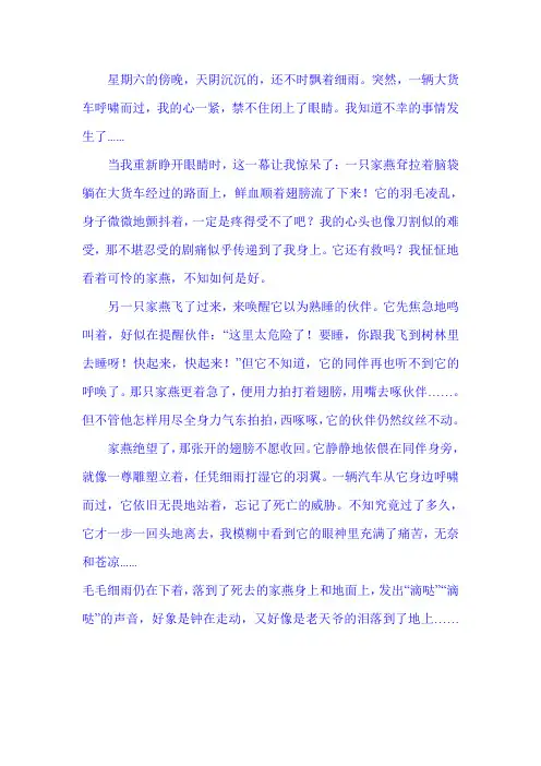 苏教版四年级上册习作七
