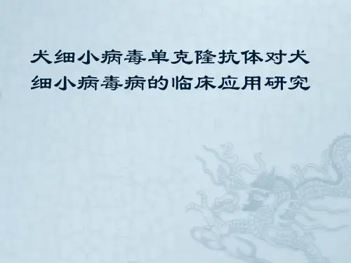 犬细小病毒单克隆抗体对犬细小病毒