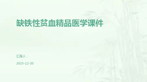 缺铁性贫血精品医学课件
