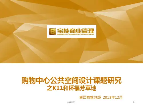 购物中心公共空间设计课题研究  ppt课件