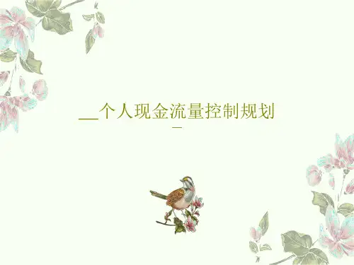 __个人现金流量控制规划PPT文档69页