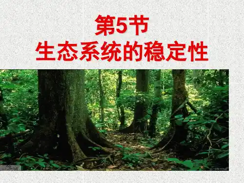 生态系统的稳定性
