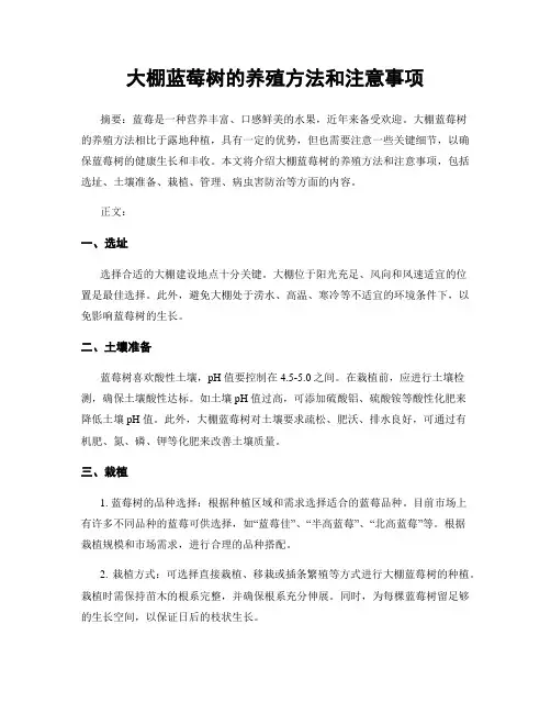 大棚蓝莓树的养殖方法和注意事项