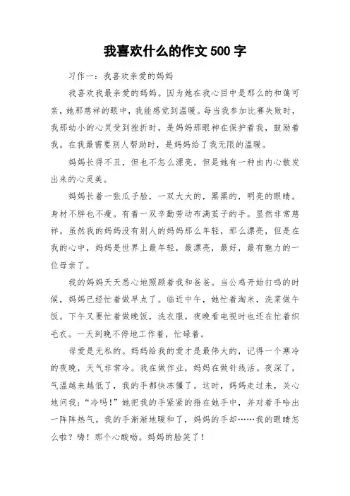 我喜欢什么的作文500字_作文