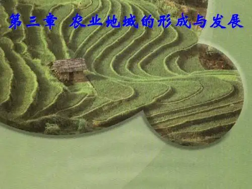 高中地理——农业的区位选择