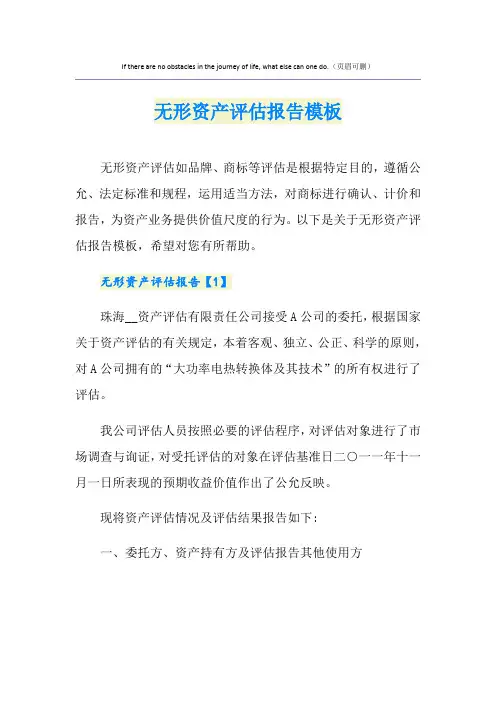 无形资产评估报告模板