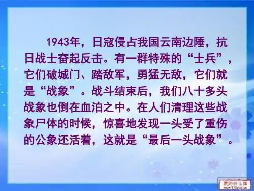 《最后一头战象》课件PPT(完美版)图文