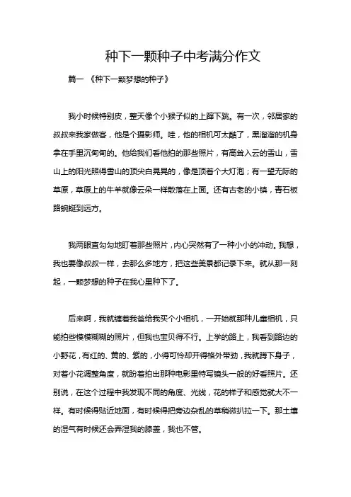 种下一颗种子中考满分作文