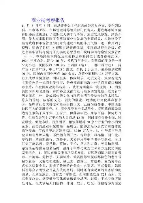 商业街考察报告