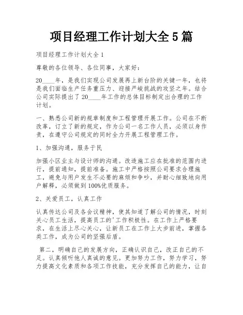 项目经理工作计划大全5篇