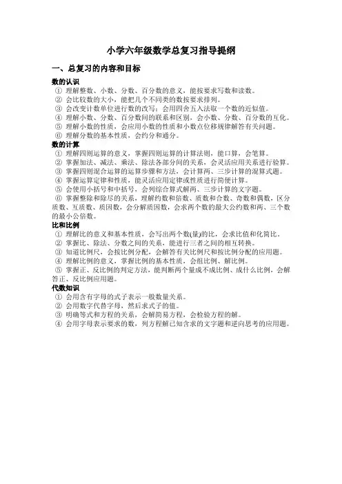 小学六年级数学总复习指导提纲