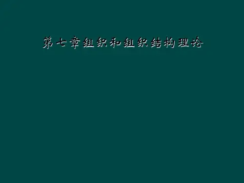 第七章组织和组织结构理论