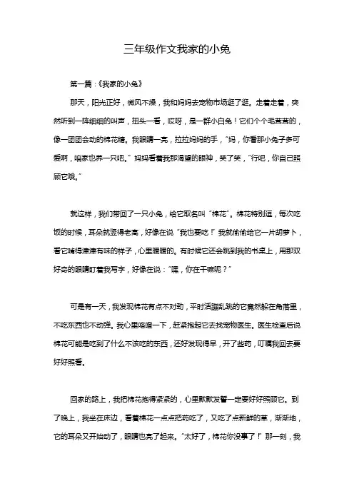 三年级作文我家的小兔