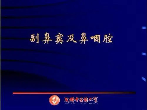 鼻咽腔和副鼻窦CT解剖