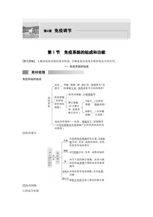 高中生物(选择性必修第一册 人教版)教案讲义：免疫系统的组成和功能含答案