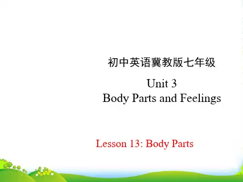 英语七年级上册冀教版 Lesson 13 Body Parts (共17张PPT)