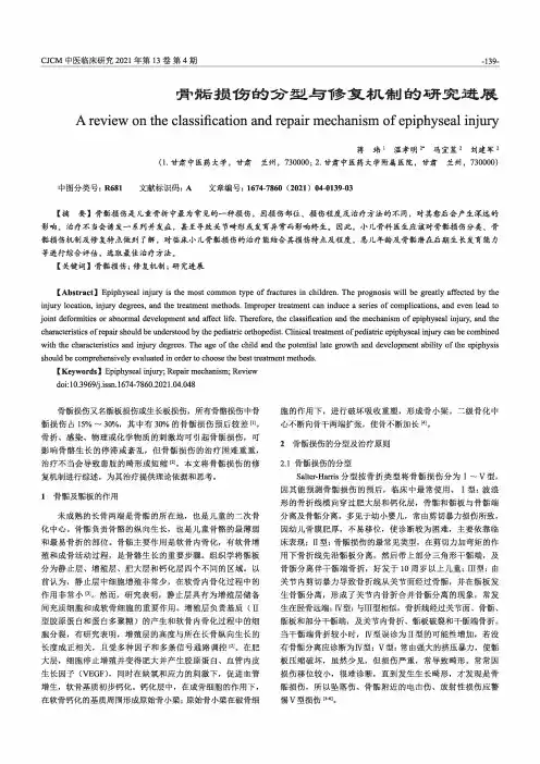 骨骺损伤的分型与修复机制的研究进展