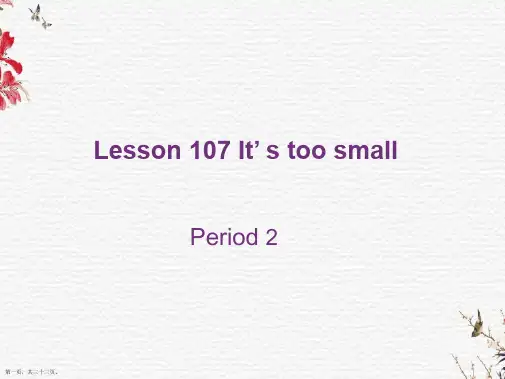 新概念一册Lesson 107 It’ s too smallppt