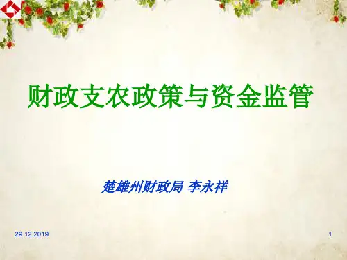 财政支农政策与资金监管(ppt 81页)