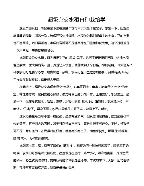 超级杂交水稻育种栽培学