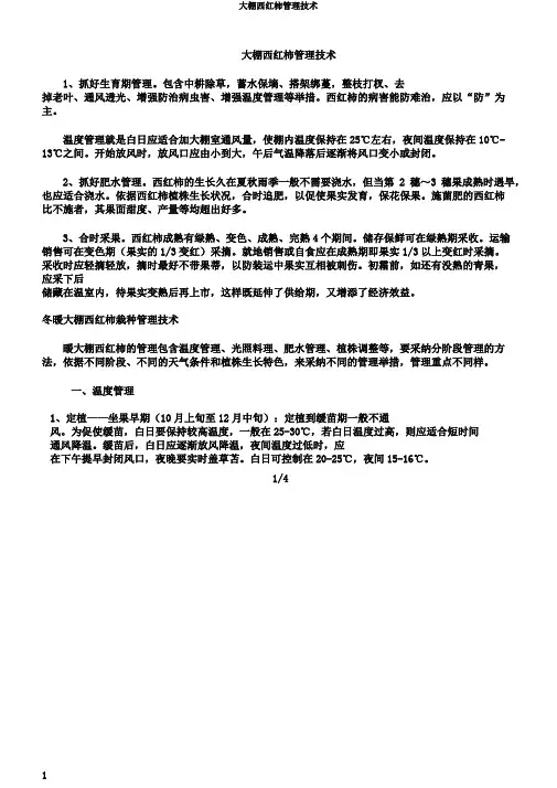 大棚西红柿管理技术