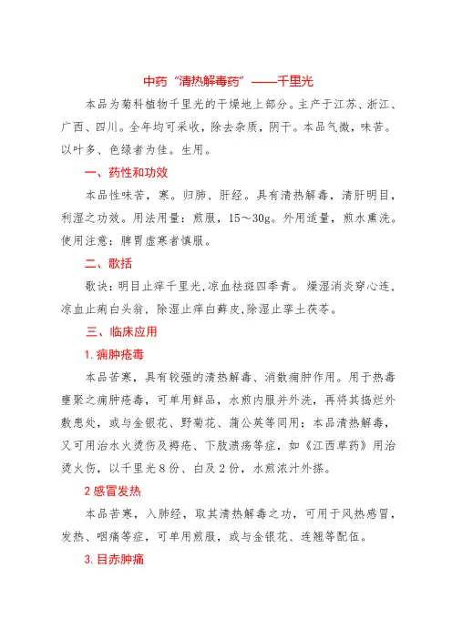 中药“清热解毒药”——千里光