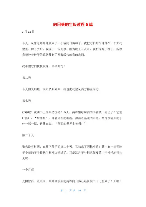 向日葵的生长过程6篇