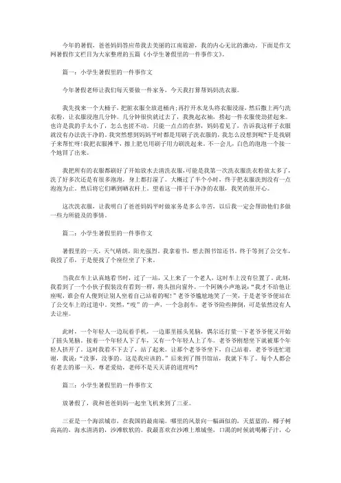 小学生暑假里的一件事作文