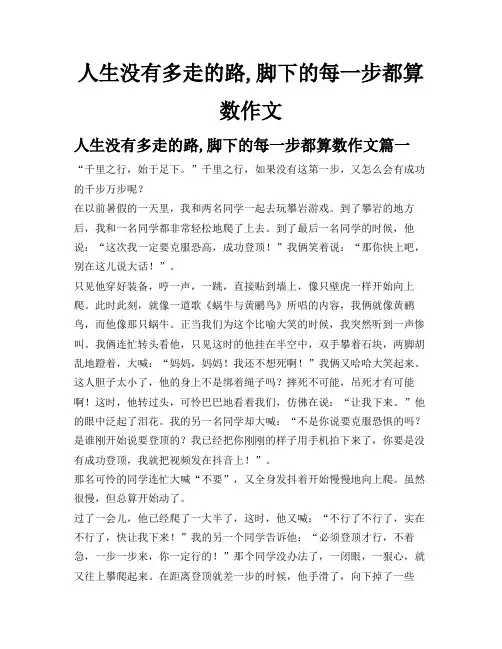 人生没有多走的路,脚下的每一步都算数作文