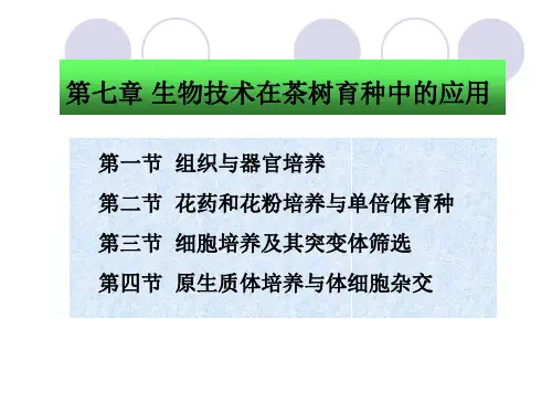 茶树育种学Chapter-07第七章 生物技术在茶树育种中的应用