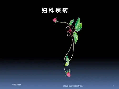 妇科常见病专题知识宣讲培训课件