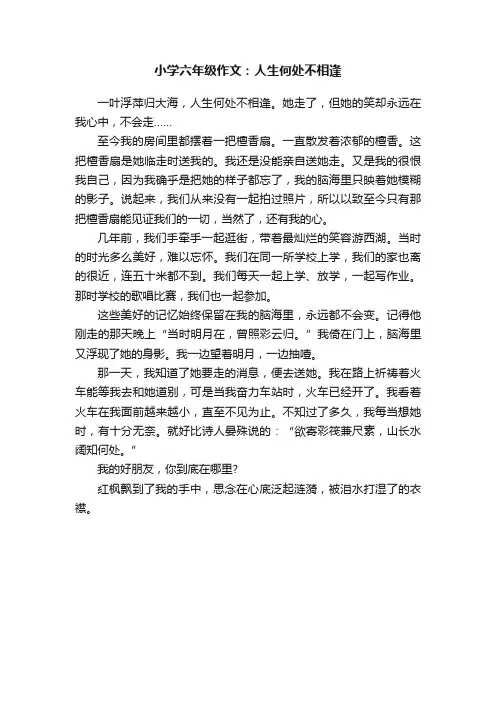 小学六年级作文：人生何处不相逢