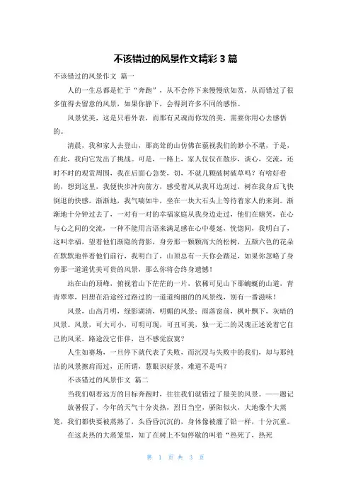 不该错过的风景作文精彩3篇