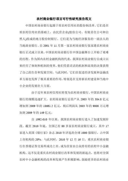 农村商业银行项目可行性研究报告范文.doc