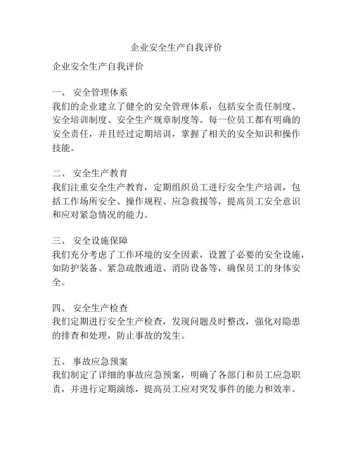 企业安全生产自我评价