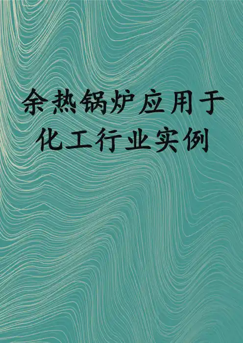 余热锅炉应用于化工行业实例