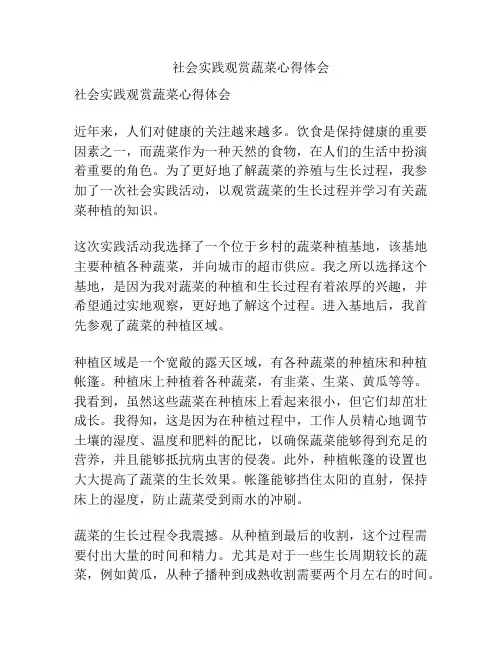 社会实践观赏蔬菜心得体会