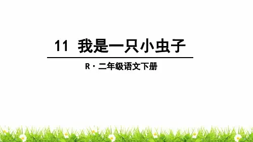 新部编人教版二年级语文下册《我是一只小虫子》教学课件